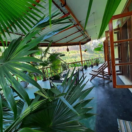 Serenity Homestay Ella Bagian luar foto