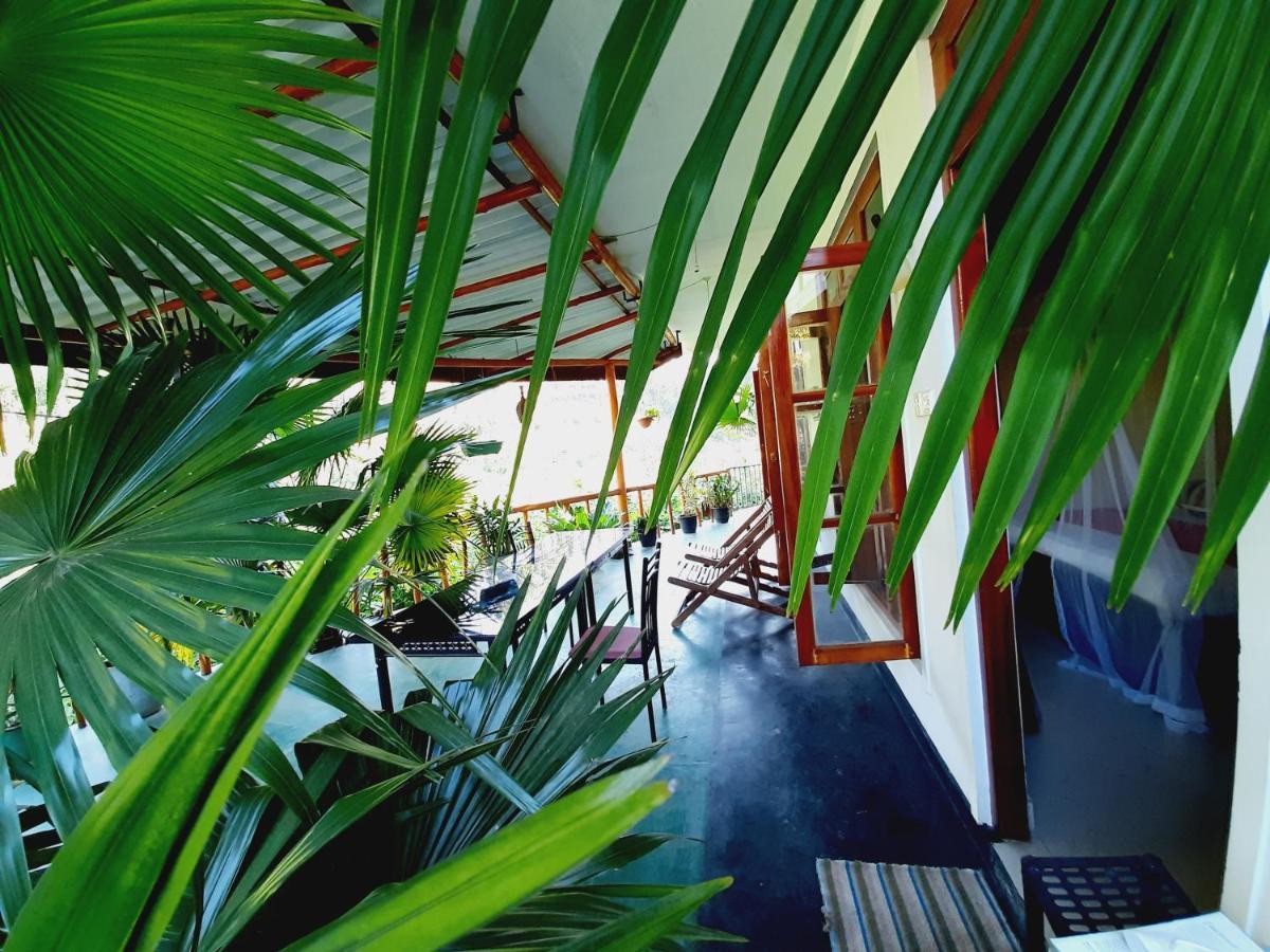 Serenity Homestay Ella Bagian luar foto