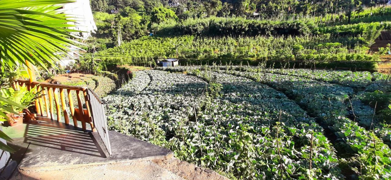 Serenity Homestay Ella Bagian luar foto