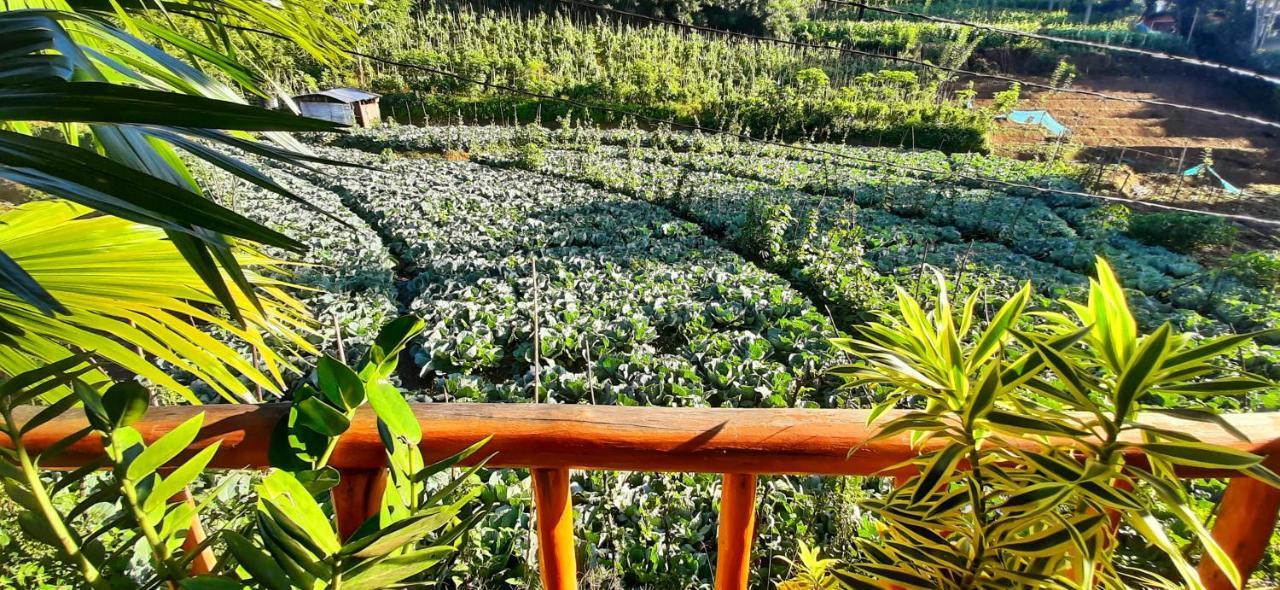 Serenity Homestay Ella Bagian luar foto