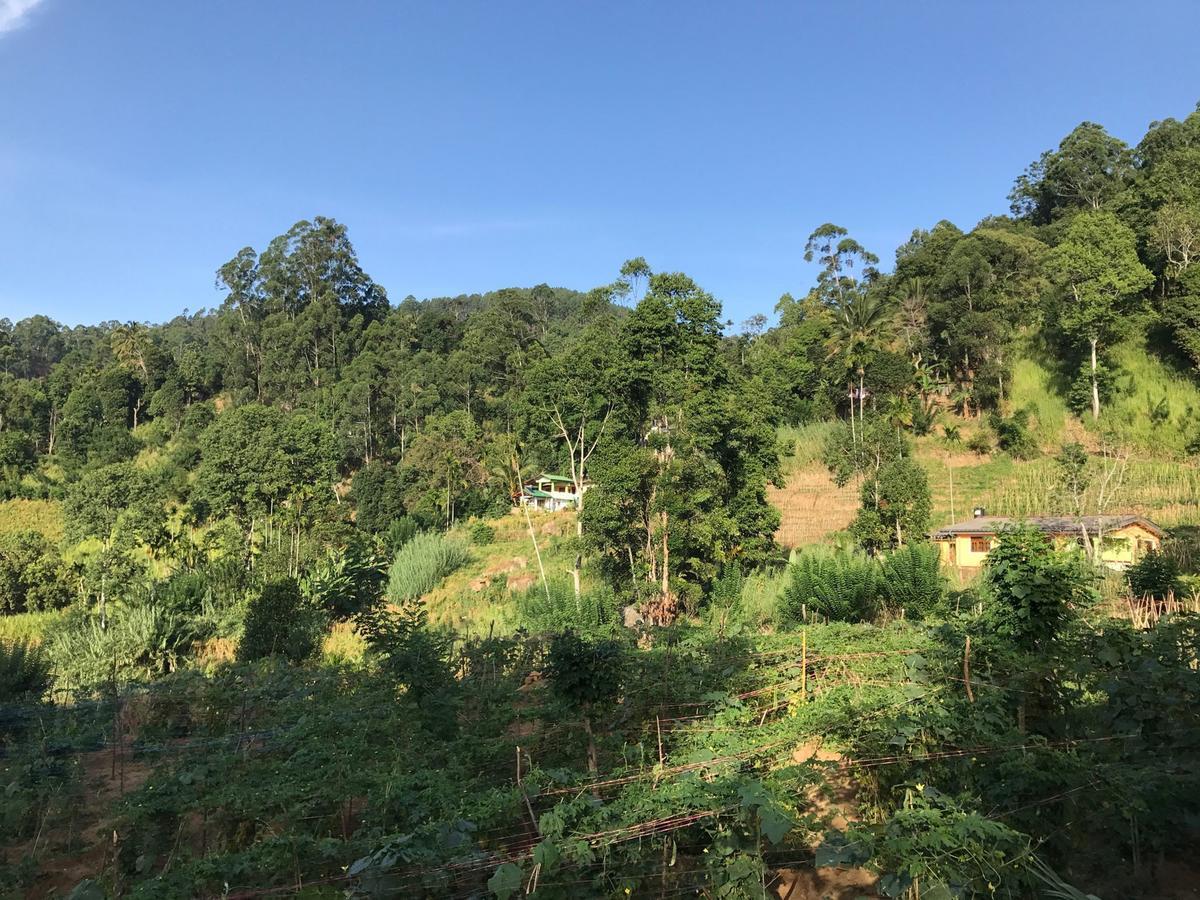Serenity Homestay Ella Bagian luar foto